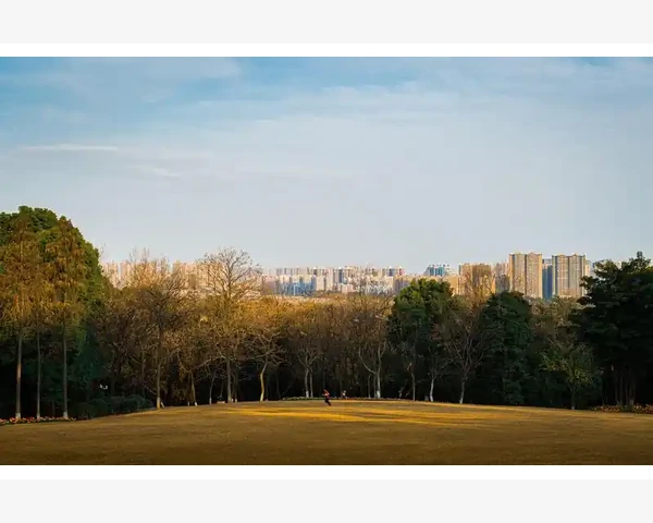 吐了吃什么好？防止呕吐状况的小妙招！