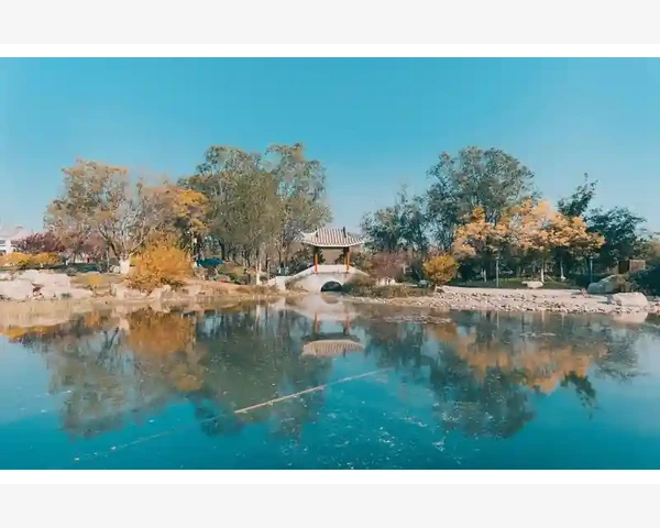 通过拔罐去湿气减肥吗？